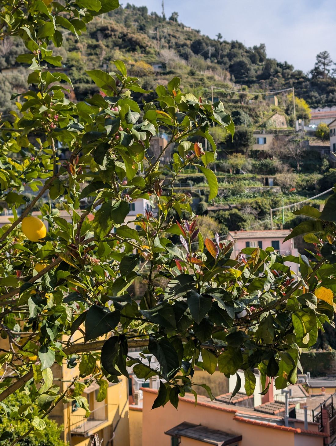 Cinque Terre